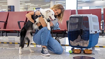 Ragazza abbraccia cane in aeroporto